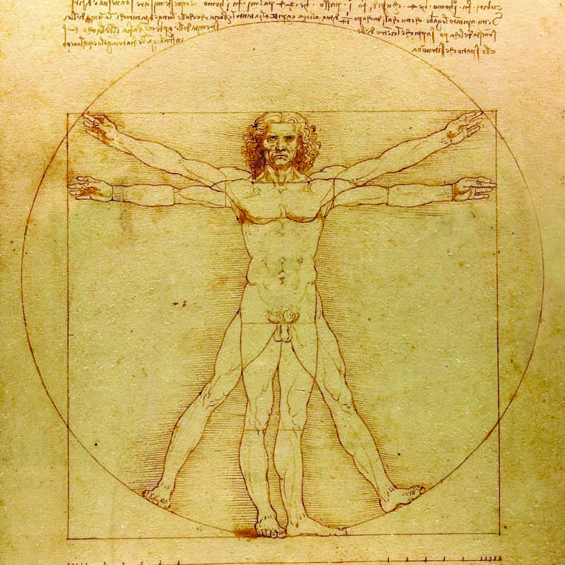 ウィトルウィウス的人体図